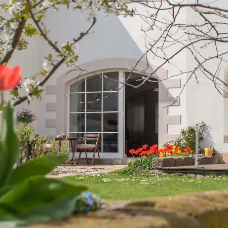 Domizil Am Kaitzbach Apartmán