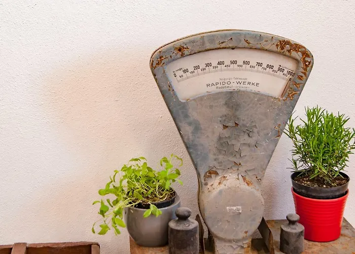 Apartament Domizil Am Kaitzbach *