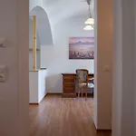 Domizil Am Kaitzbach Apartment Dresden